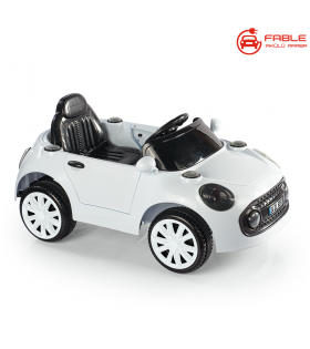 Dolu Willy 12V Akülü Araba